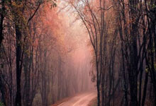 毽球与绣球里的情谊——香港队与西藏队以赛会友新华网客户端.