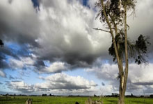 毽球与绣球里的情谊——香港队与西藏队以赛会友新华网客户端.