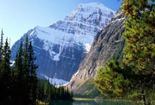 亚冬会速滑收官花滑开赛,中国队诞生多位“三冠王”环球时报.